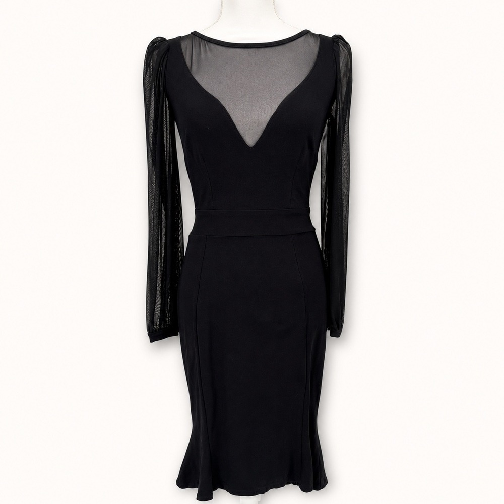 Elvira Mistress of the Dark Medium Dress Mesh Mermaid Dress Morticia Goth Witchy